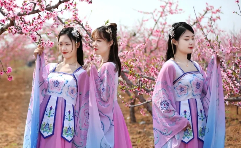 微信截圖_20250409194014.png
